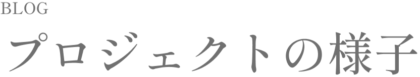 プロジェクトの様子